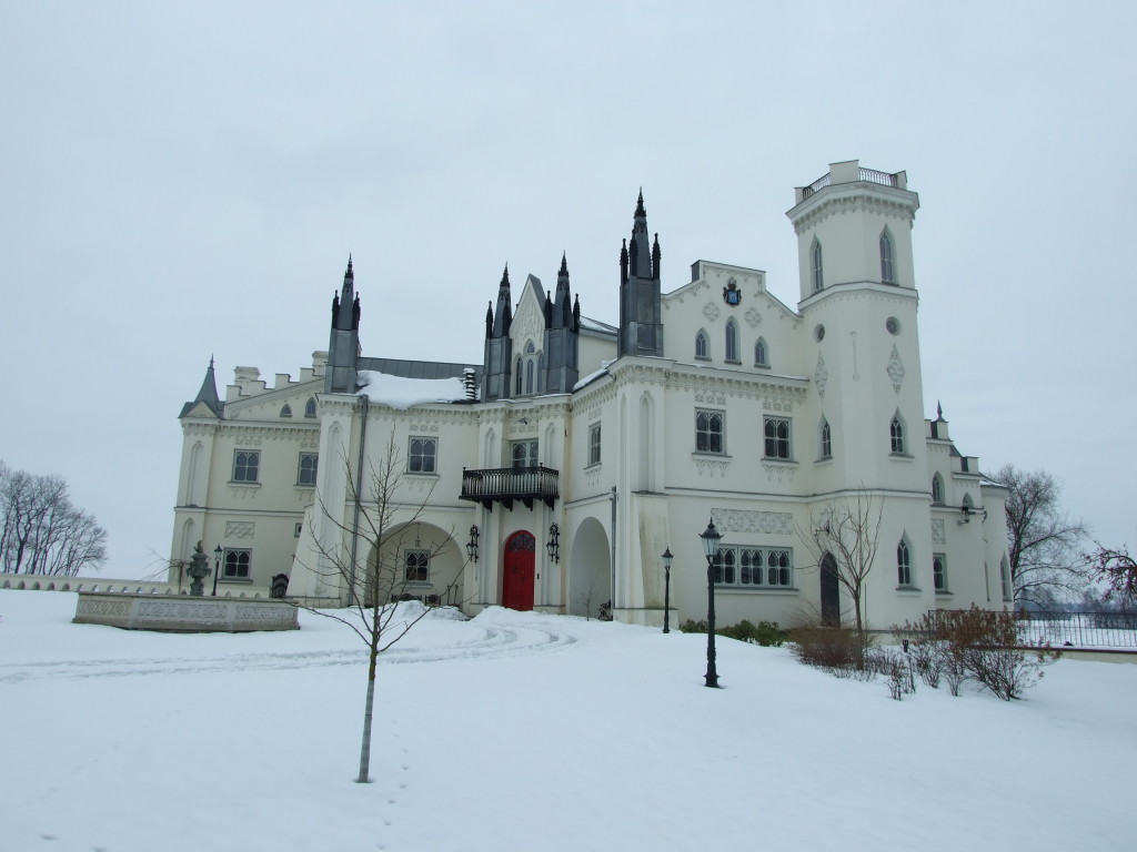 Pałac w Patrykozach. fot. Marcin Plewka